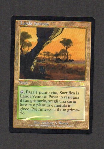Mtg foil landa - mtg,