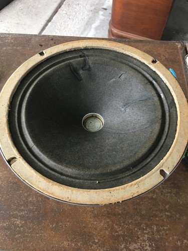 Altoparlante magnavox n - 8",