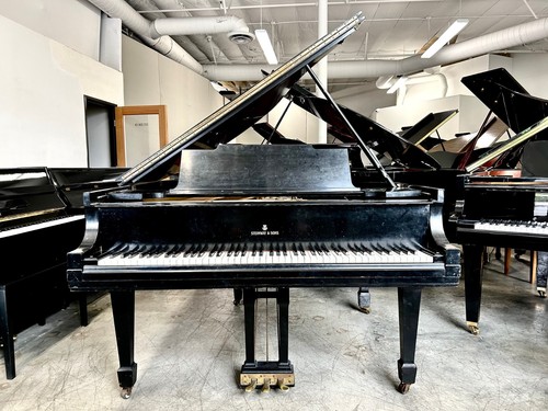 Steinway grand piano - steinway,
