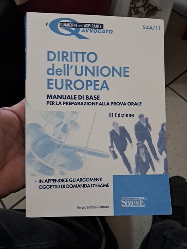 Diritto dell unione - diritto, dell'unione