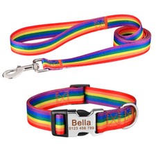 Set Collare e Guinzaglio per