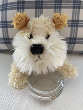 Marrone chiaro e bianco - Filo