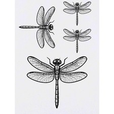 Tatuaggi trasferimenti - 4, tatuaggi/trasferimenti