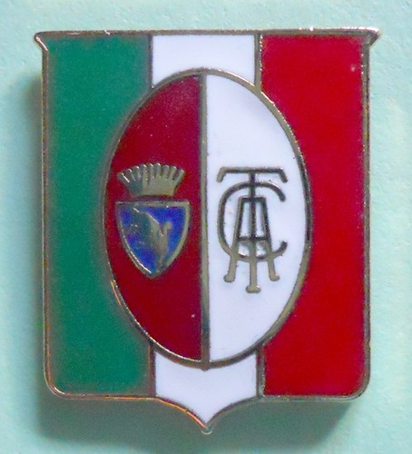 Distintivo spilla pin badge - spilla,