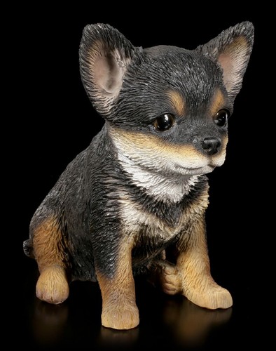 Cani cuccioli figura - figura,