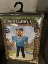 Costume Minecraft Steve