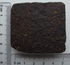 WW1 Fibbia per cintura in