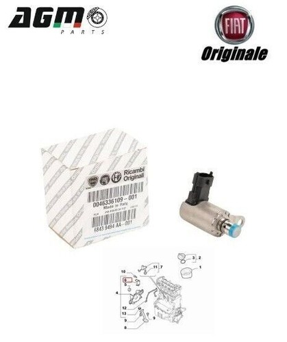 Regolatore pressione olio - regolatore,