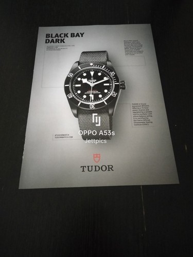 Black bay dark tudor - black,