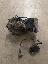 Piaggio CIAO SÌ BRAVO GRILLO