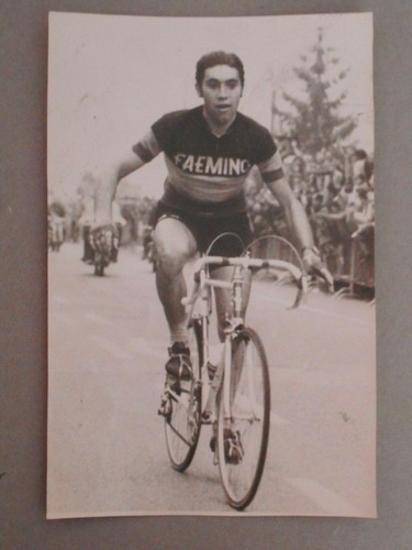 Eddy merckx faemino - ***eddy,