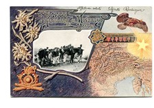 alpini cartoline  brigata