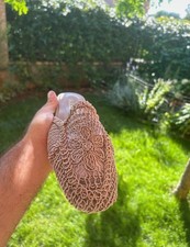 Sandalo basso - Sabot 1428