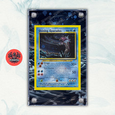 Pokémon Teca Magnetica