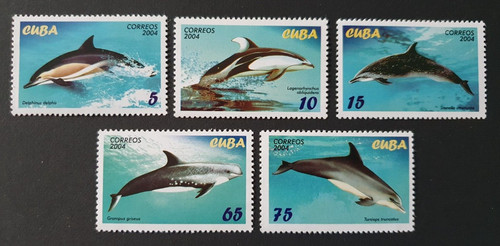 2004 set sealife delfini - set,