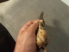 ANTICO ATTREZZO PER LA LAVORAZIONE DELLA PELLE E CUOIO D.A.T