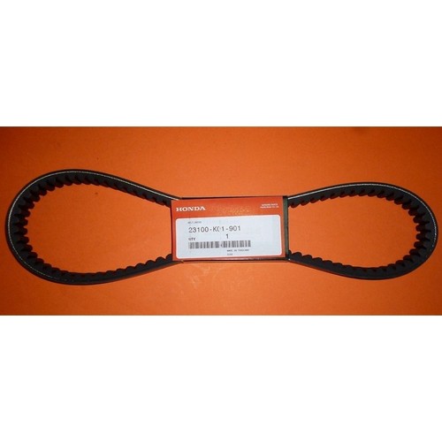 Cinghia trasmissione originale