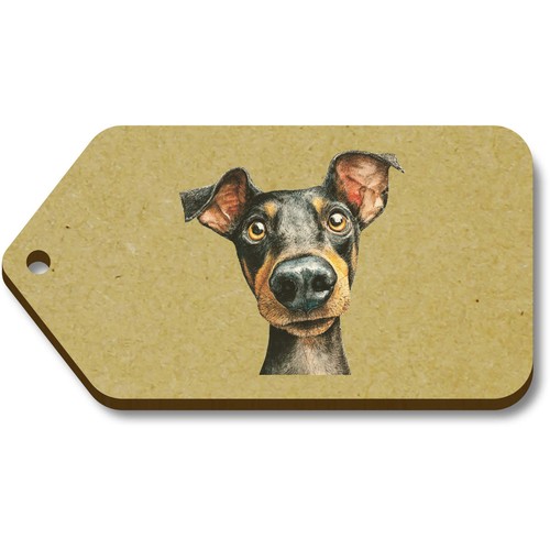 Funny austrian pinscher gift - 'funny,