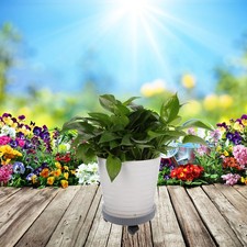  Carretto Giardino Carrello