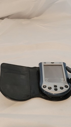 Palm m130 color - m130, organizer