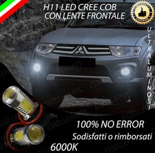COPPIA LUCI FENDINEBBIA H11