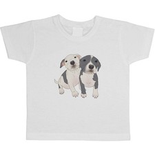 'Adorable Pitbull Puppies'