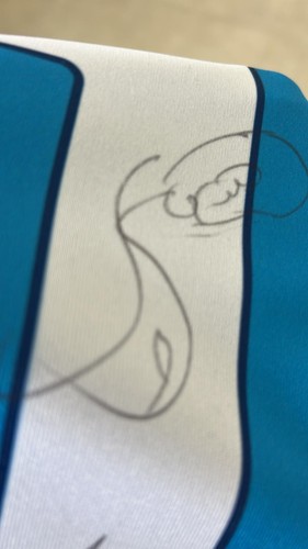 Maglia calcio autografata - maglia, ssc