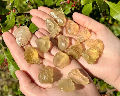 Bicchiere naturale deserto