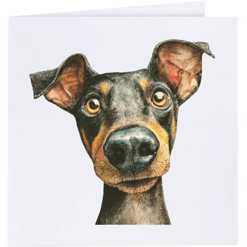 Funny austrian pinscher - austrian, pinscher'
