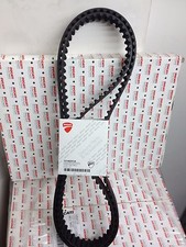 Cinghie Distribuzione Ducati