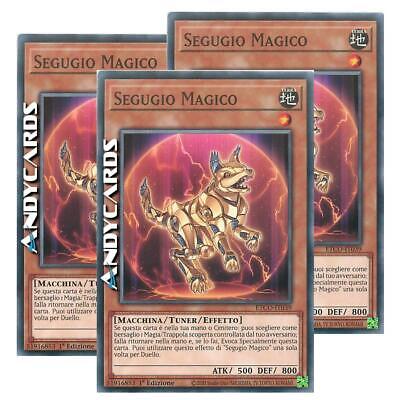 Segugio magico magical - 3x,