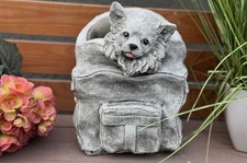 Statua pietra chihuahua in - in,