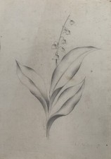 Disegno a Matita Bozzetto Mughetto Fiori