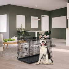 Gabbia per animali domestici - animali,