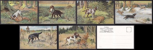 Caccia hunting cani dog - hunting,