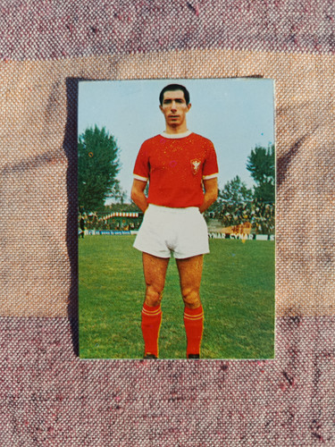 1967 persicostampa - 1967-68,
