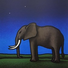 Tino Stefanoni | Serigrafia a