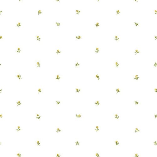 Rg35721 carta parati - rg35721,