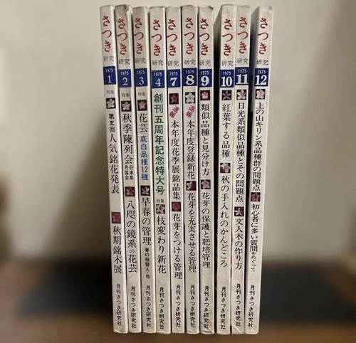 Satsuki kenkyu magazine - magazine, 10