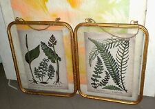 COPPIA STAMPE su cartoncino VINTAGE  cornici in metallo