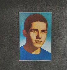 Verbania Lampo COPPA RIMET