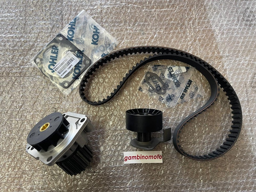 Kit distribuzione cusc - distribuzione,