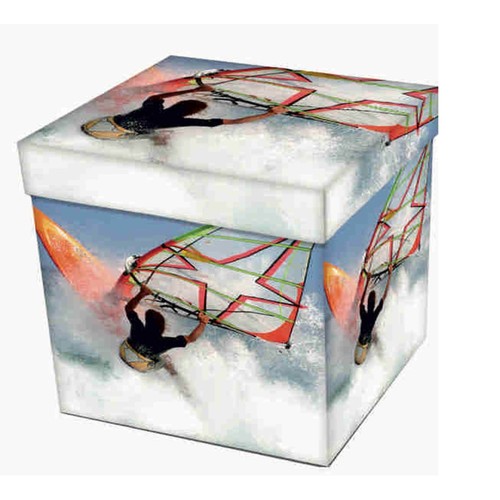 Pouf contenitore poggiapiedi - contenitore,