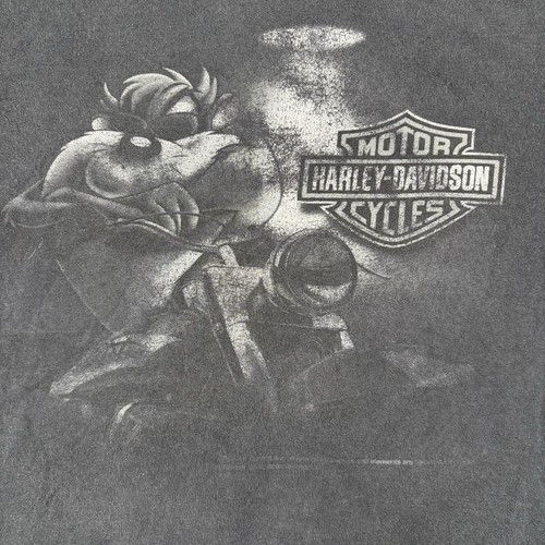 Camicia harley davidson - camicia,