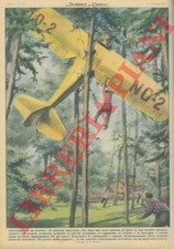 MOLINO W. - Giovane si