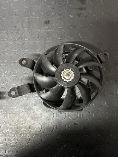 Coppia ventola radiatore - coppia,