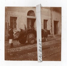 ORISTANO VIA TIRSO BUOI  12°