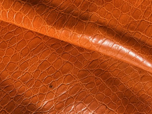 Pelle stampata cocco colore - stampata,