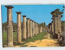 Postcard The Palestra Olympia