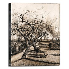 Van Gogh giardini della chiesa